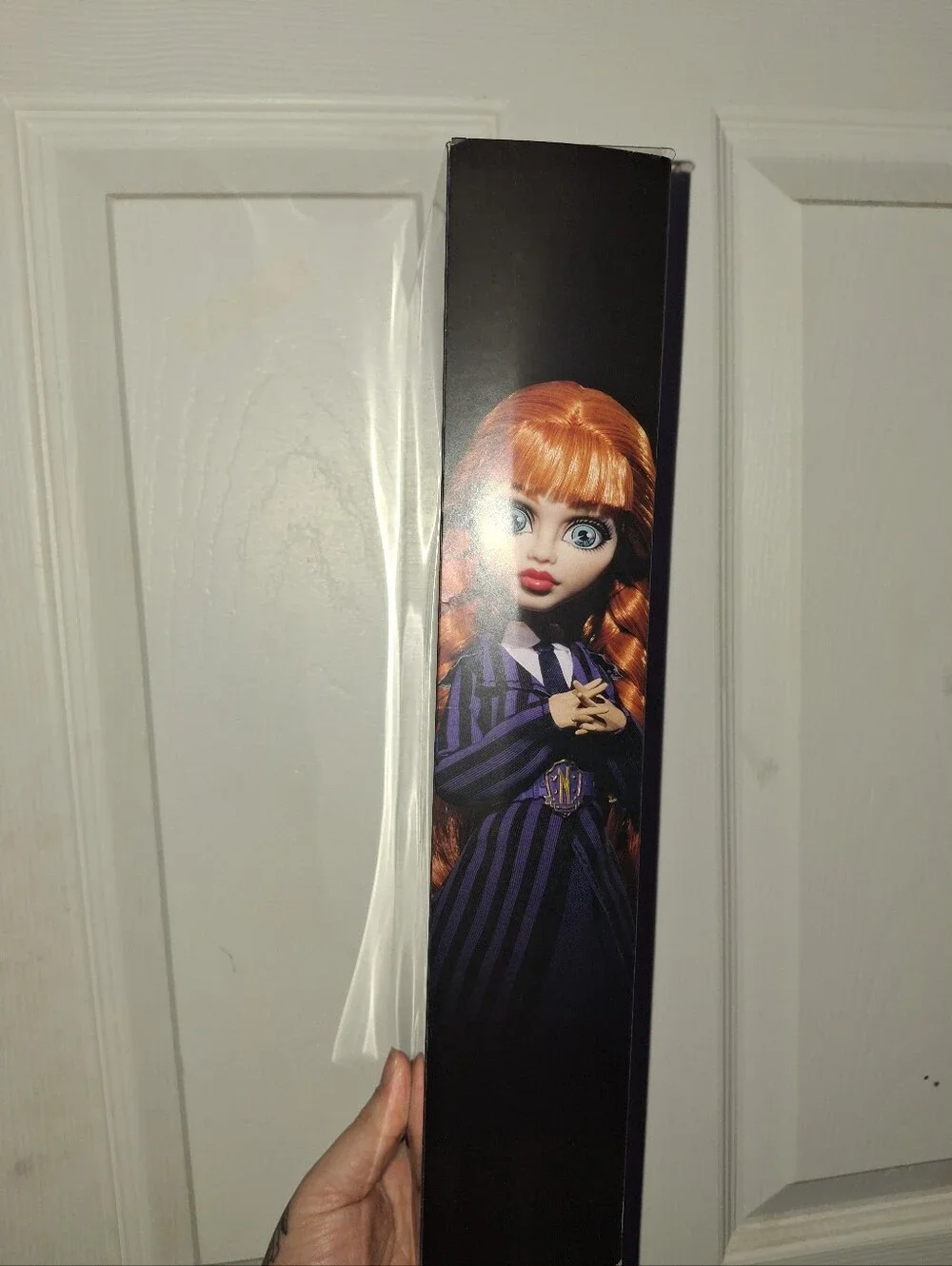 Agnes Monster High BOX ONLY